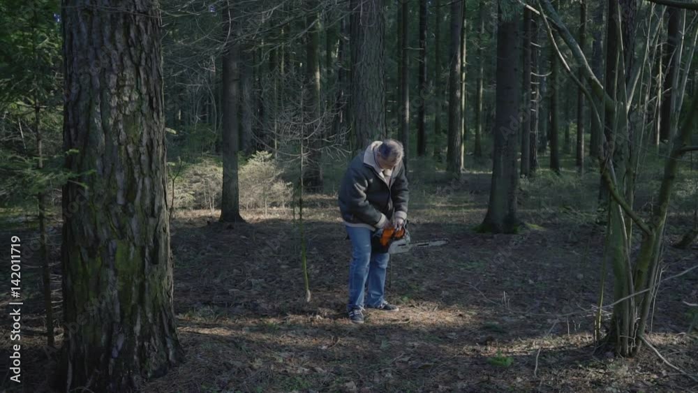 The woodcutter walks with a saw in the woods and chooses trees The woodcutter walks with a saw in the woods and chooses trees