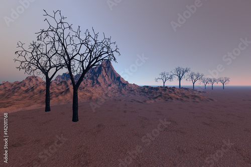 Desert, a rocky landscape, black trees without leaves and an hazy sky.
