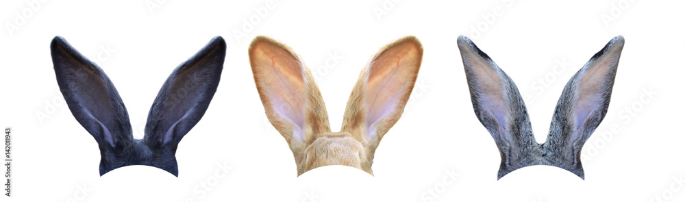 Fototapeta premium Frohe Ostern!