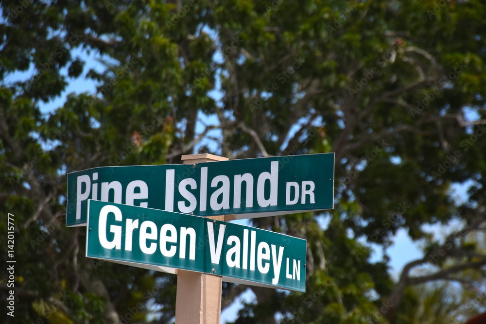 Green Valley Lane Pine Island Drive