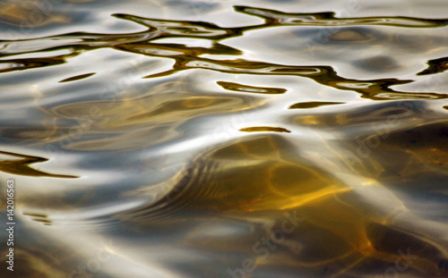 Water surface of lake with soft rolling ripples in shades of gold
