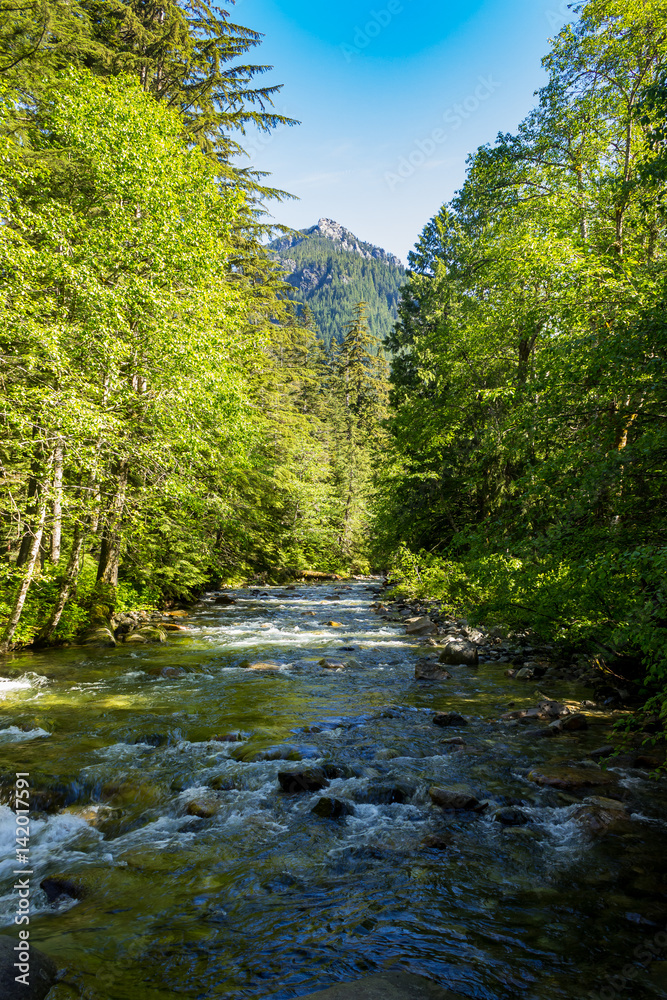 Obraz premium Where the water flows 