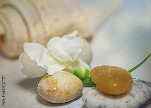 Calming scene with mediation stones  flower and conch