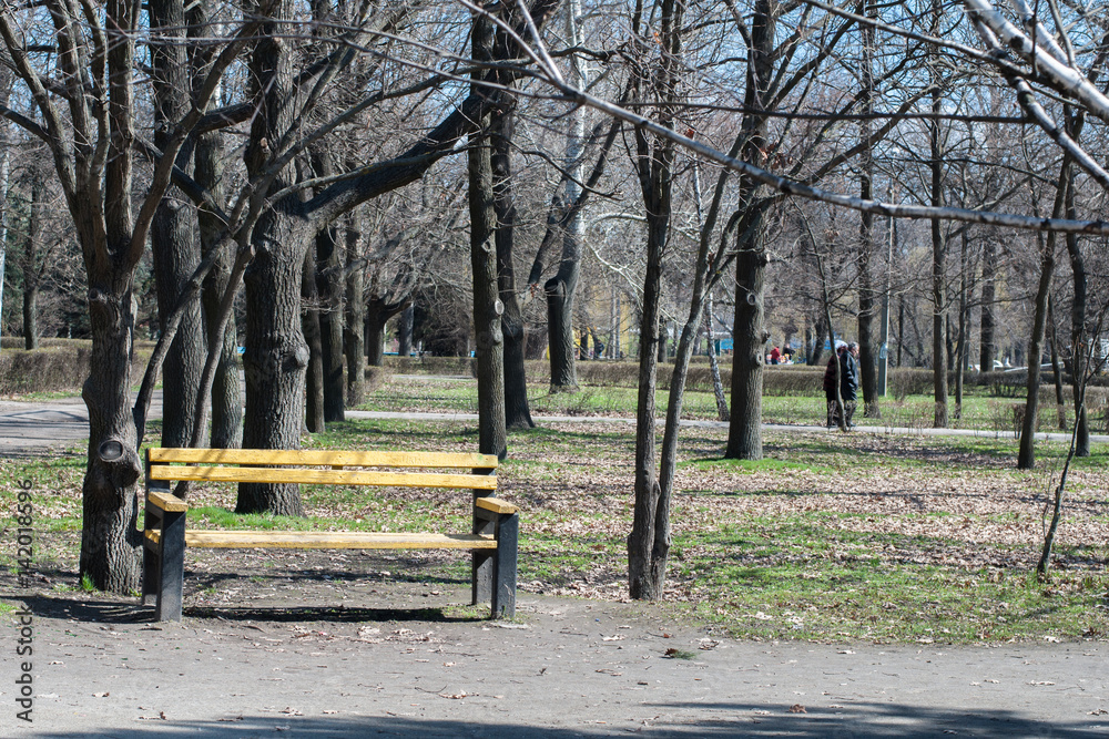 Lonely yellow wooden bench in a spring park