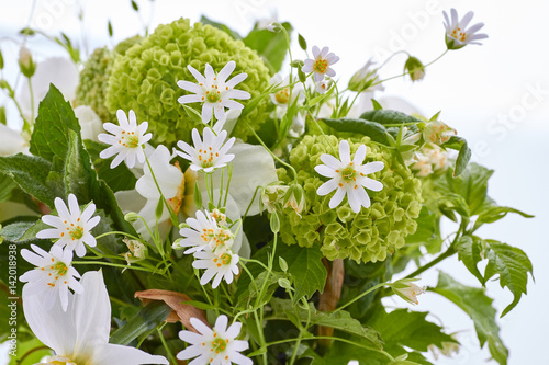 Various spring flowers on white photo