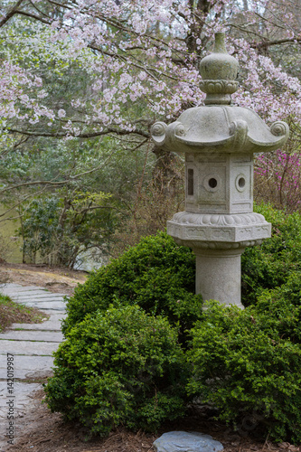 Cherry blossom pathway through Japanese gardens at Duke gardens.    © eric