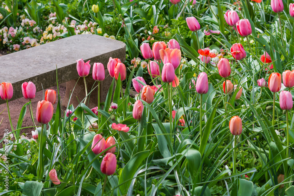 Sit and relax by the Tulips at Duke Gardens.