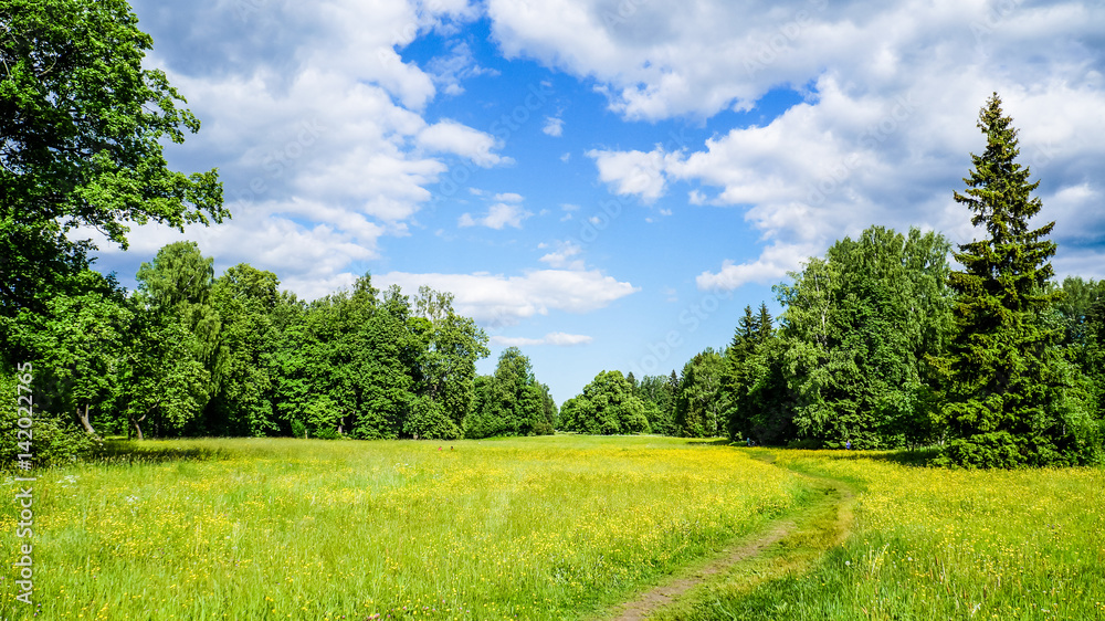 Russia. Pavlovsk Park in early June 2016. A natural landscape. 