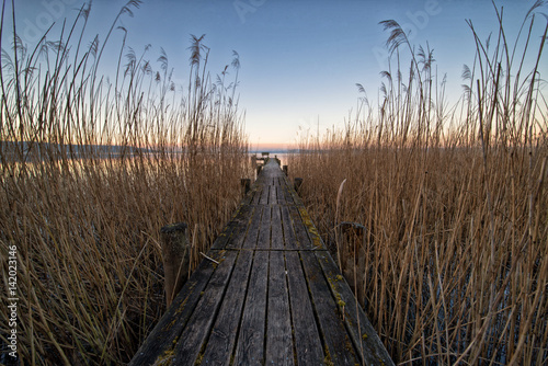 Am Ammersee