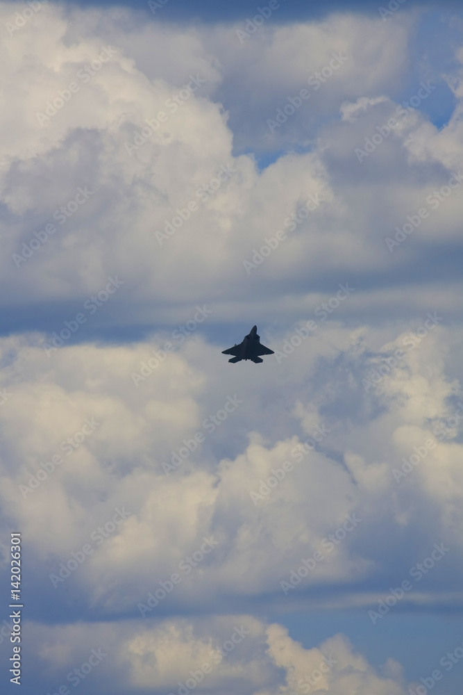 Fototapeta premium Air show