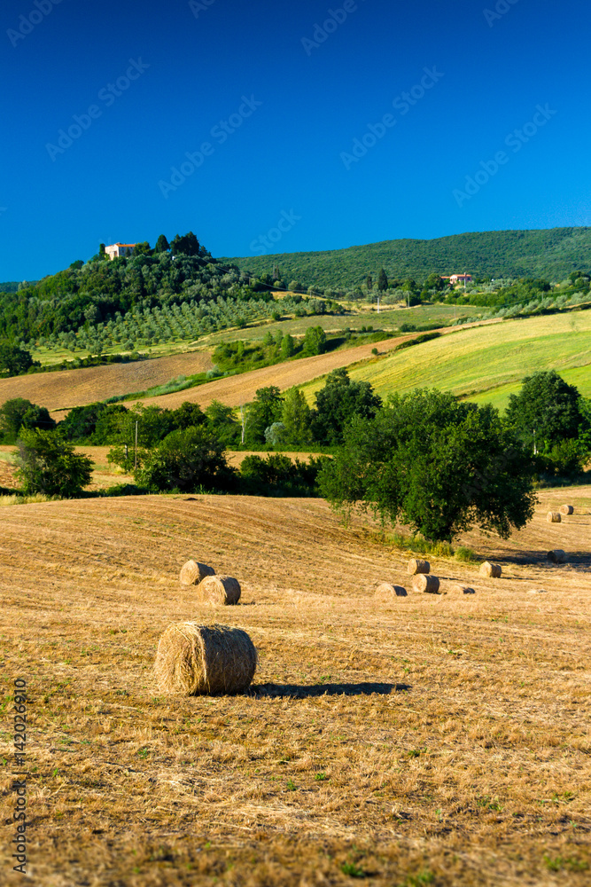 haycock and trees in sunny tuscan countryside, Italy