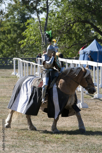 Medieval Knight