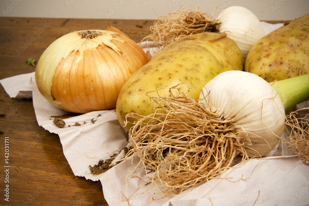 Garlic ,Potatoes and Onion Garlic ,Potatoes and Onion