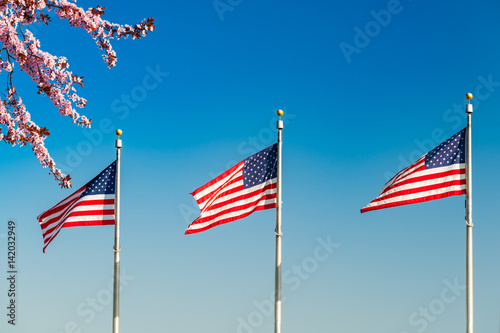 Cherry blossom abd flags of the United States waving over blue sky in Washington DC