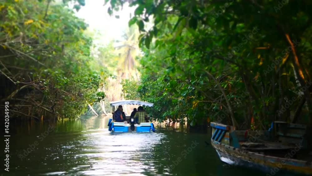 Boat and Palm tree backwater in India Timelapse Boat and Palm tree backwater in India Timelapse