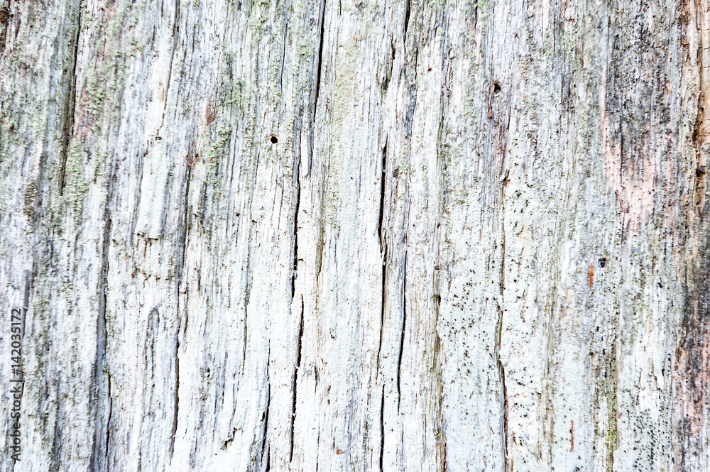 Weathered obsolete rough cracked textured wooden background Weathered obsolete rough cracked textured wooden background