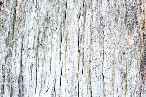 Weathered obsolete rough cracked textured wooden background
