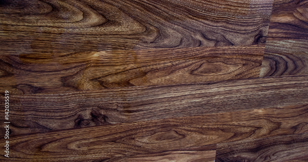 Obraz premium Wood Tree Texture Background Pattern