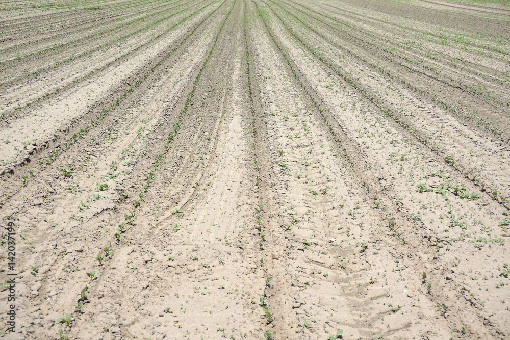 plowed spring farm field plowed spring farm field