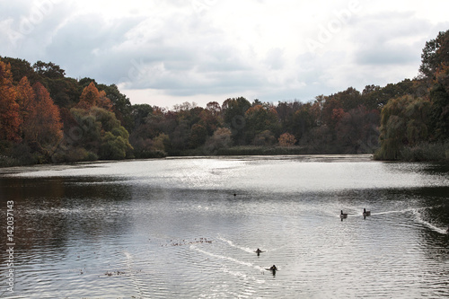 Fall Scenic