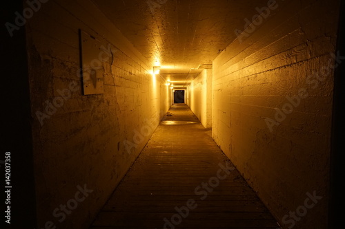 Tunnel Light