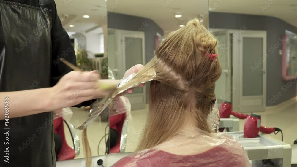 The hairdresser coloring young woman's hair, closeup The hairdresser coloring young woman's hair, closeup