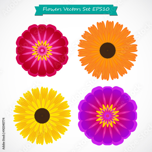 colorful flowers set vector illustration