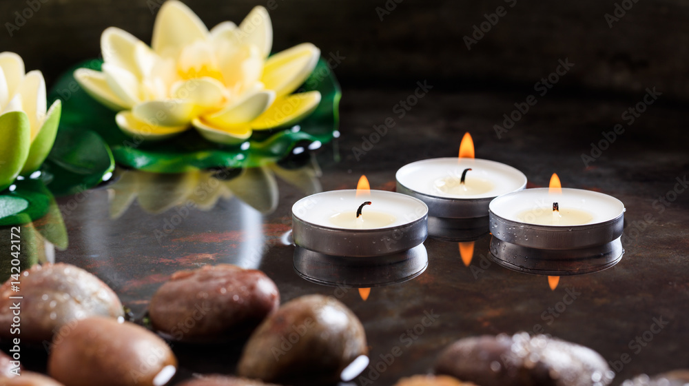 Water lilies and pebbles in water background Water lilies and pebbles in water background