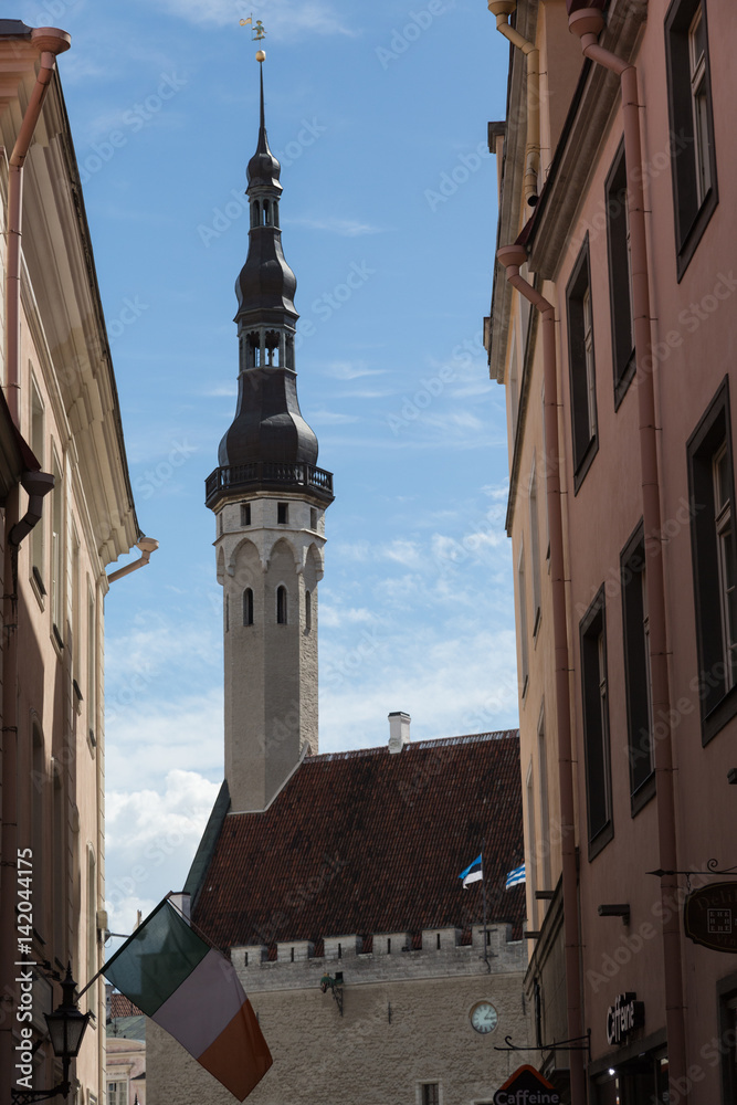 Fototapeta premium Tower of Tallinn's Town Hall