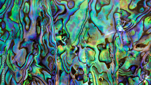 Картината върху платно close up shot the iridescent of abalone shell texture background in HD ratio, 16