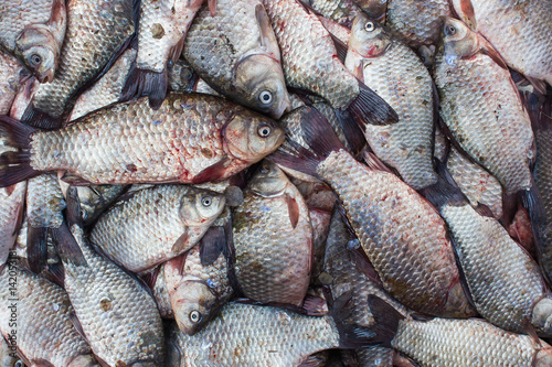 Fish crucian carp, food background with fresh products