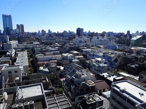 Omotesando/Tokyo,Japan