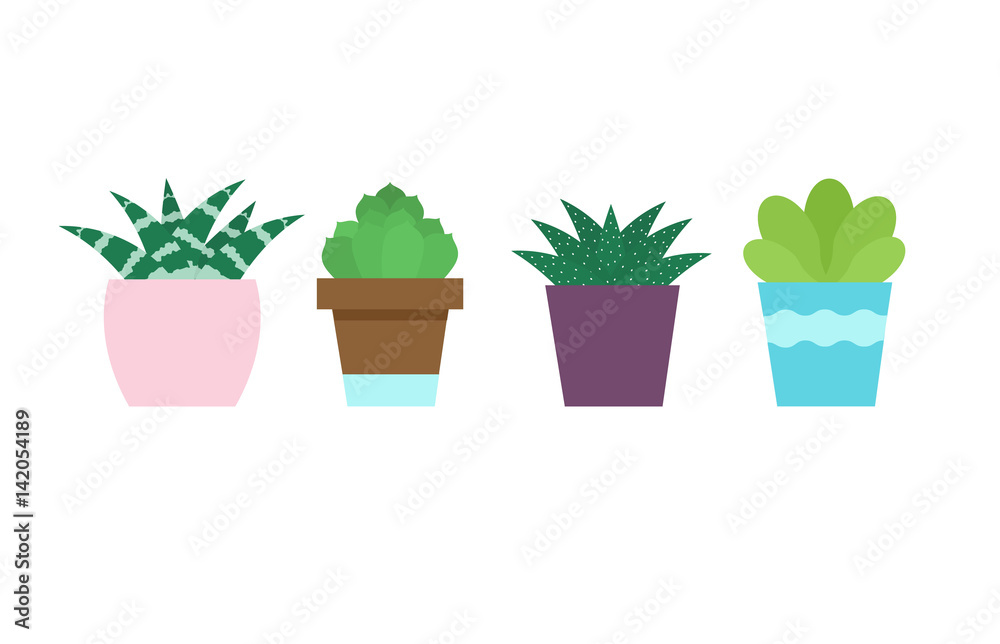 Fototapeta premium Set of succulents in pots. Indoor plants in flat style.