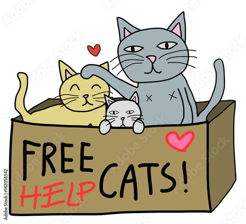 Free cat