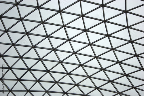 Steel and Glass Atrium Roof 