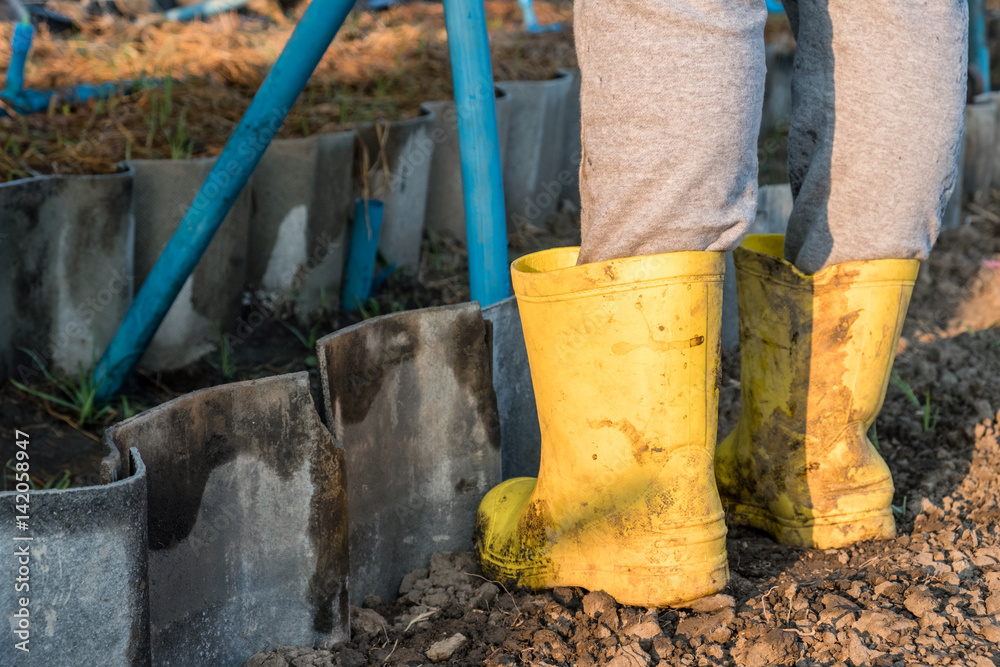 Gardener wearing rubber boots protect muddy stain Gardener wearing rubber boots protect muddy stain