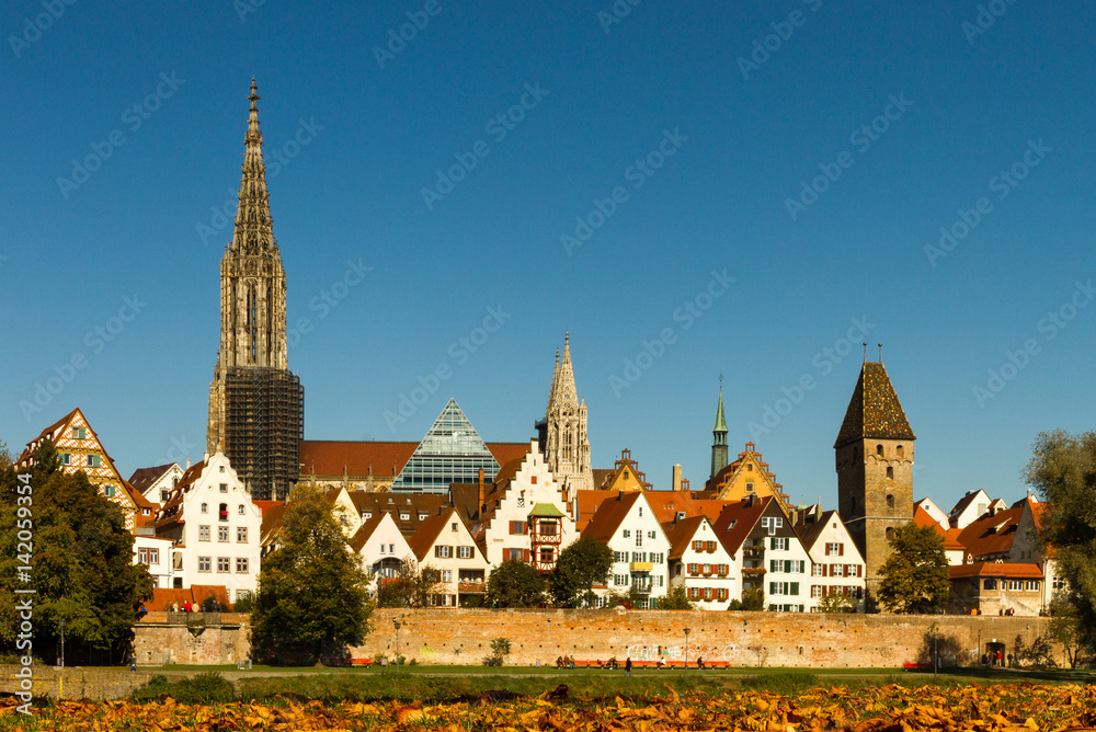 Naklejka premium Ulm Skyline