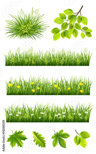 Summer grass and leaves collection