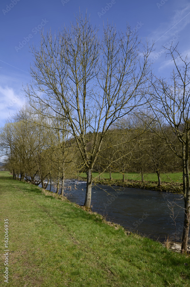 Flusslauf im Frühling