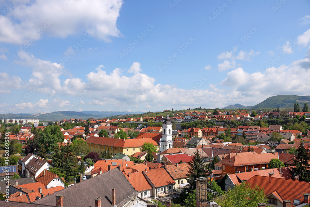 Eger church and houses cityscape