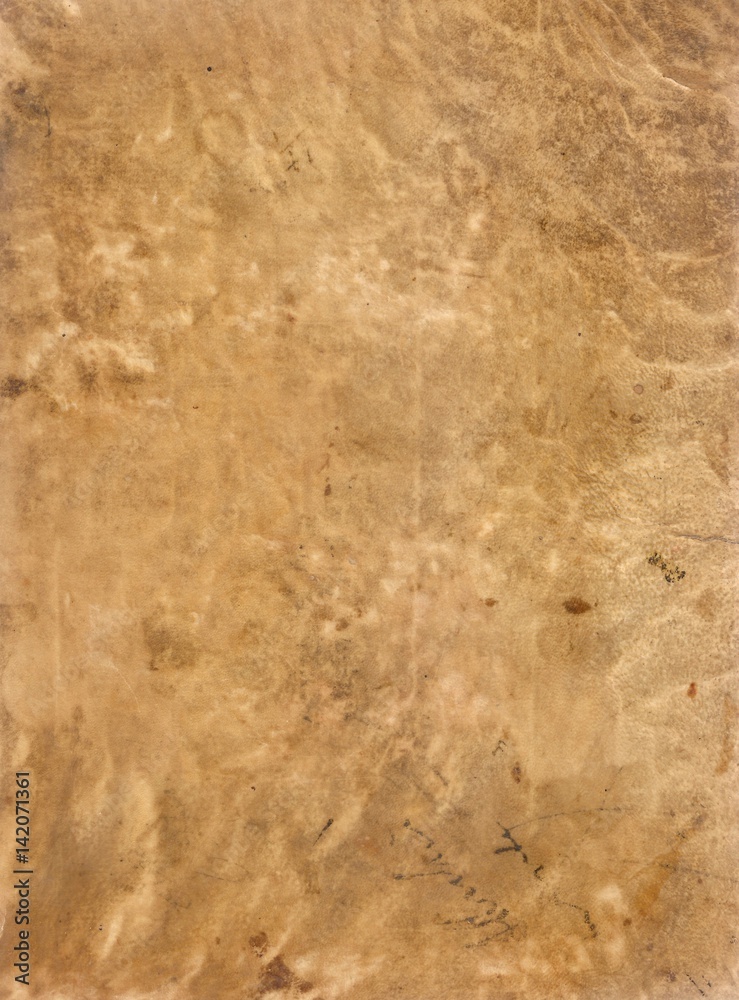 Sheepskin Parchment Paper