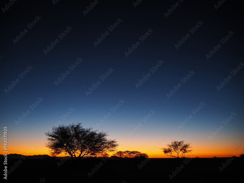 Sunset atmosphere with star and trees silhouette in Solitaire