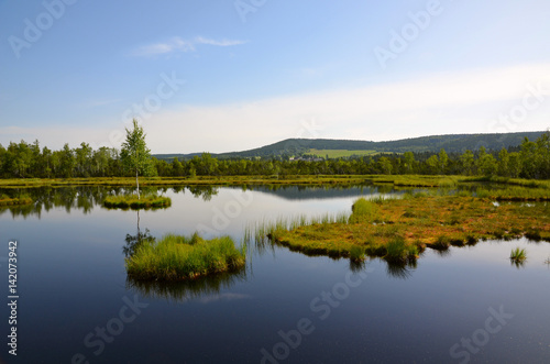 The view of the lake with islands between forests under blue sky in Sumava in Czech Republic