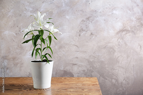 Fototapeta Naklejka Na Ścianę i Meble -  Beautiful white lilies in pot on table