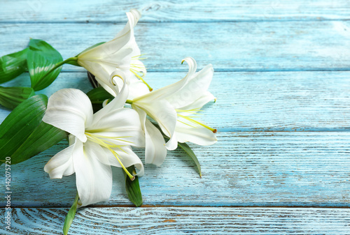 Fototapeta Naklejka Na Ścianę i Meble -  Beautiful white lilies on color wooden background