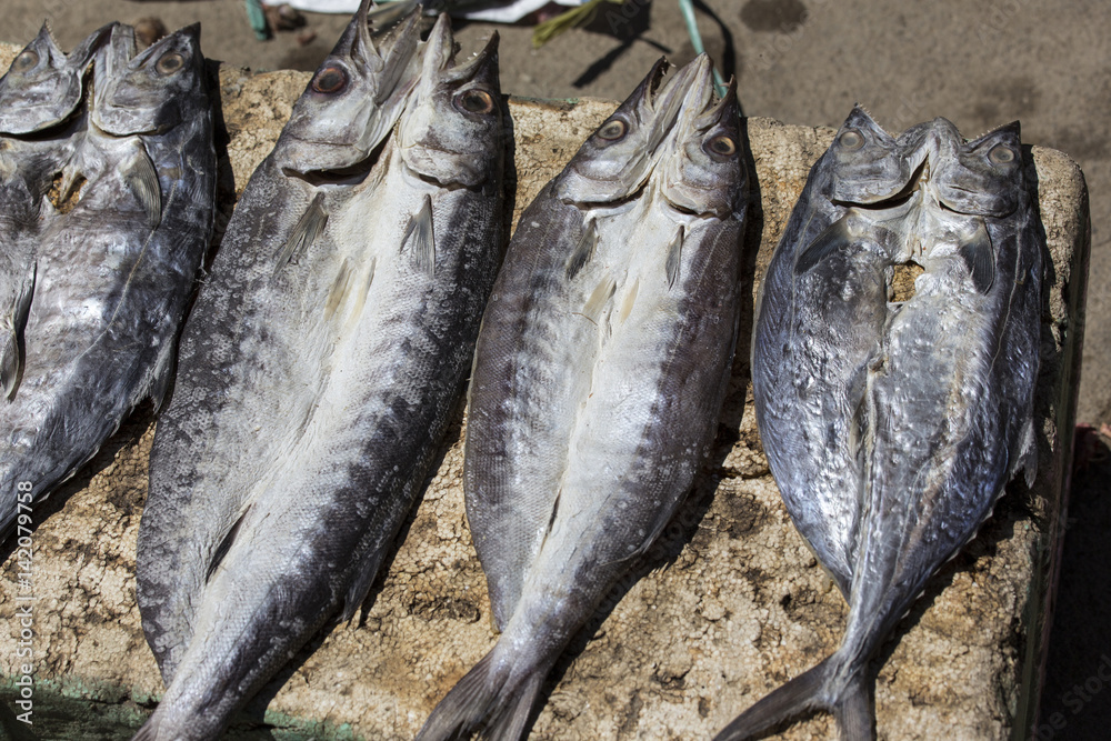 Obraz premium Fish preservation by drying