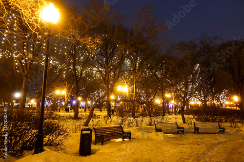 Winter night park