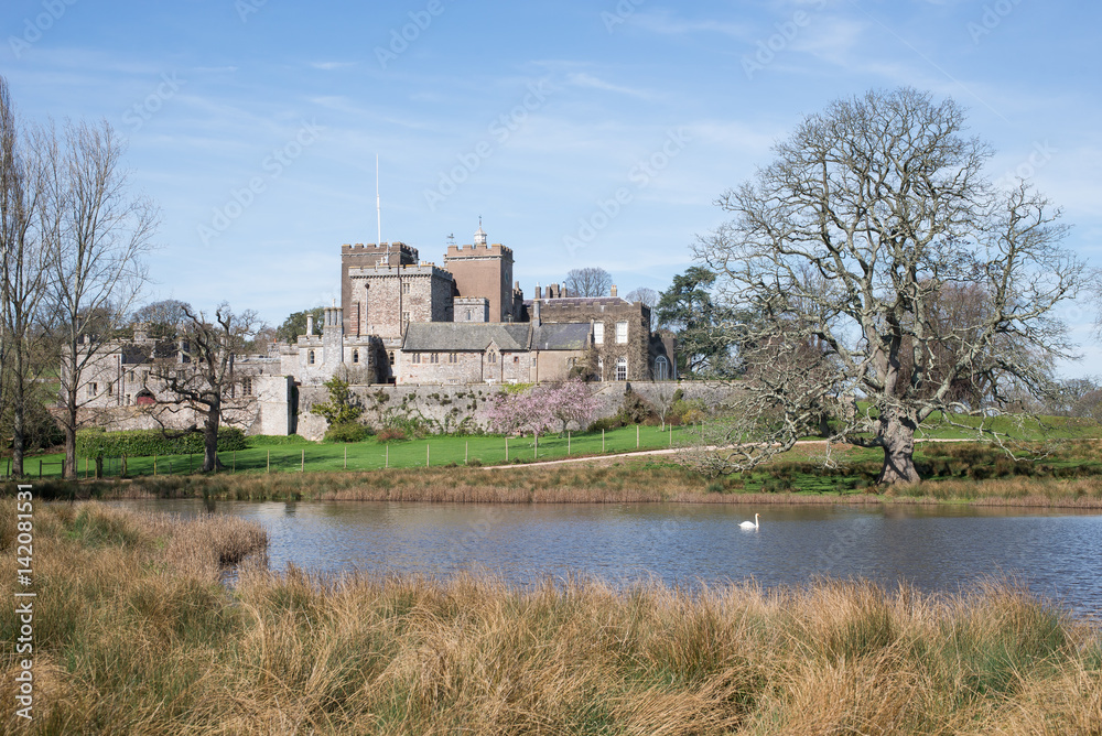 Obraz premium Landscape - Powderham Castle, Exminste, Devon, England