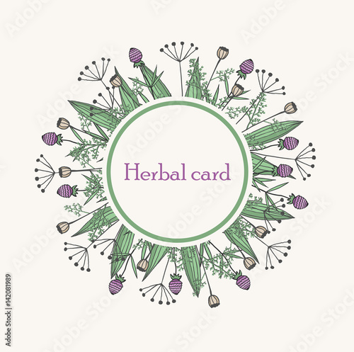 herbal vector card. Element for your design