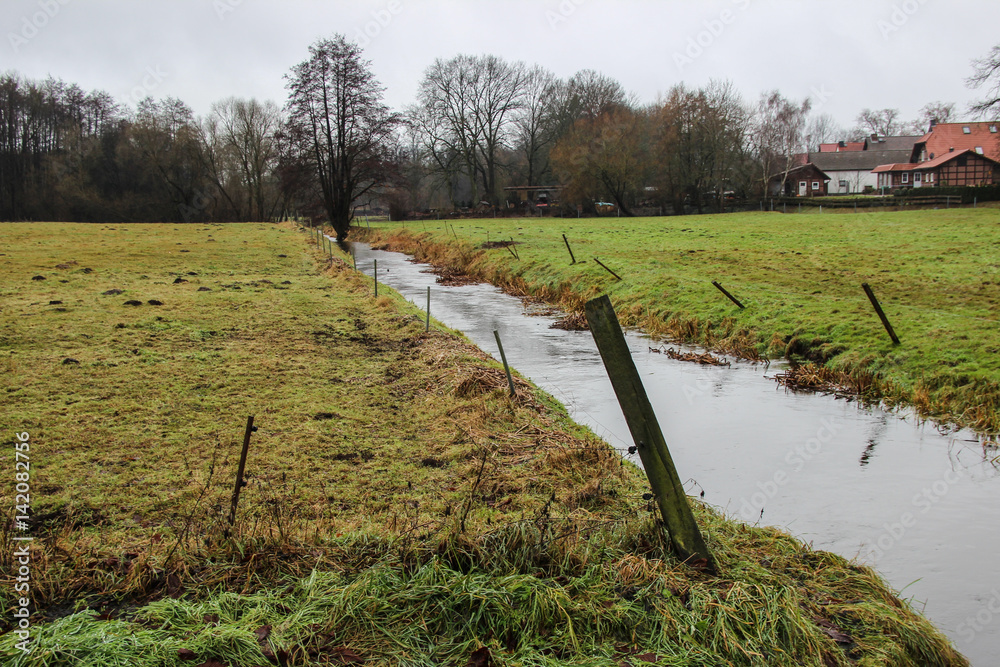 Obraz premium creek through a meadow